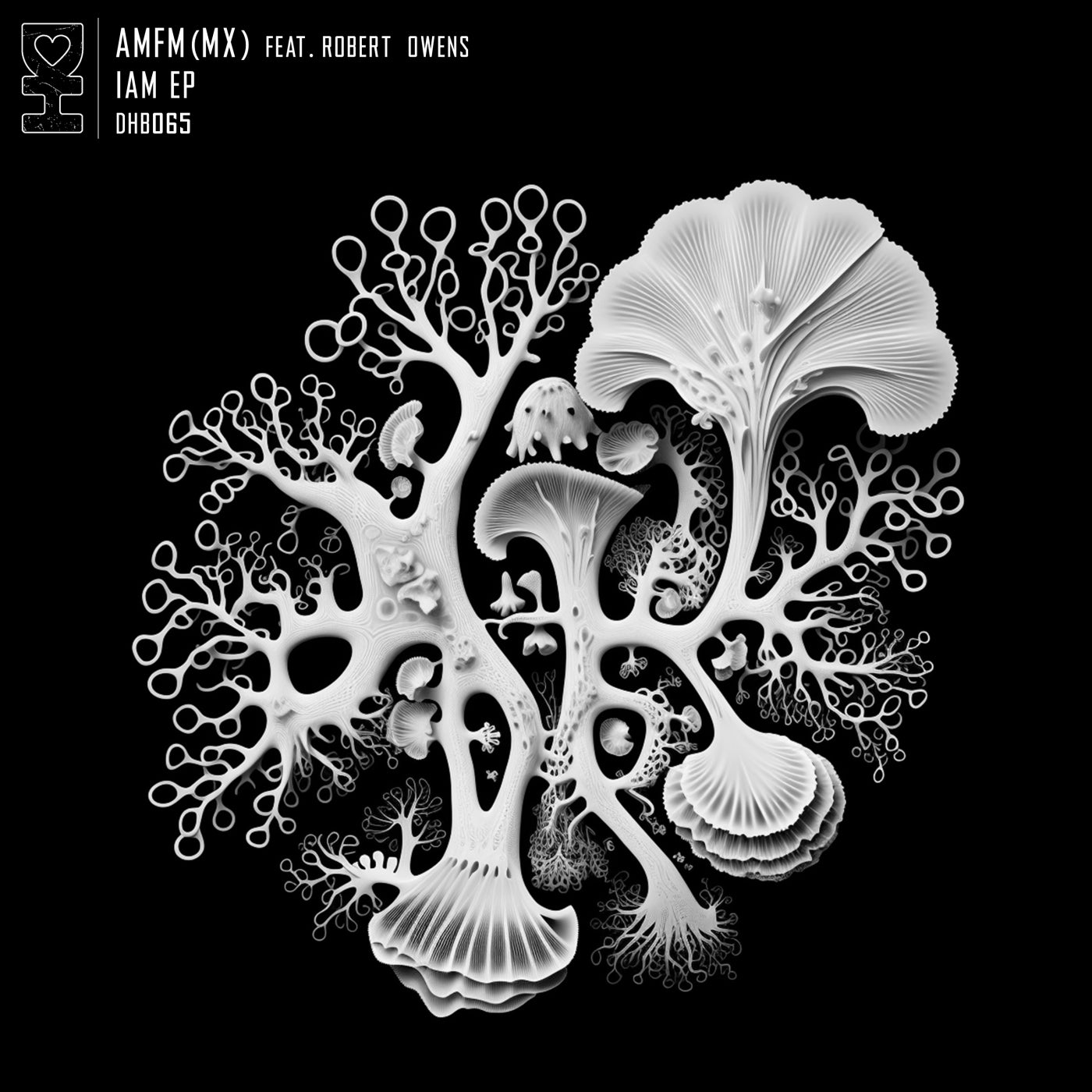 Cover - AMFM (MX) - Billy's Kills (Original Mix)