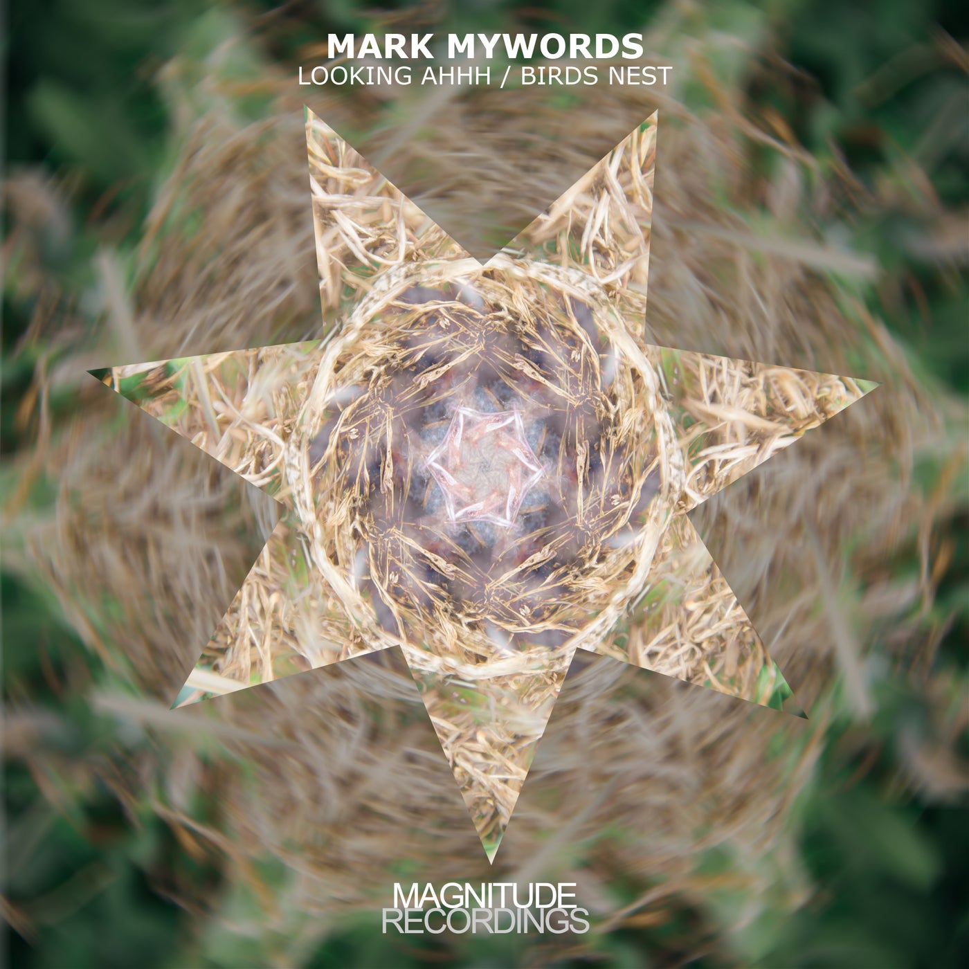 Cover - Mark Mywords - Looking Ahhh (ELECGROUND Remix)