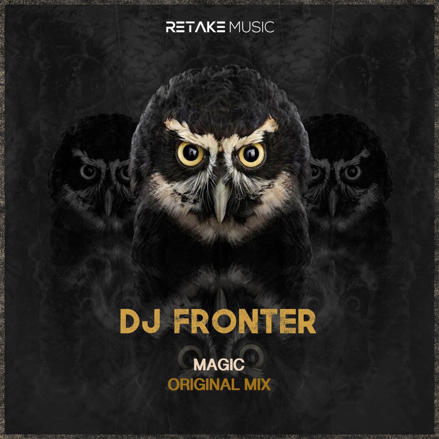 Cover - DJ Fronter - Magic (Original Mix)
