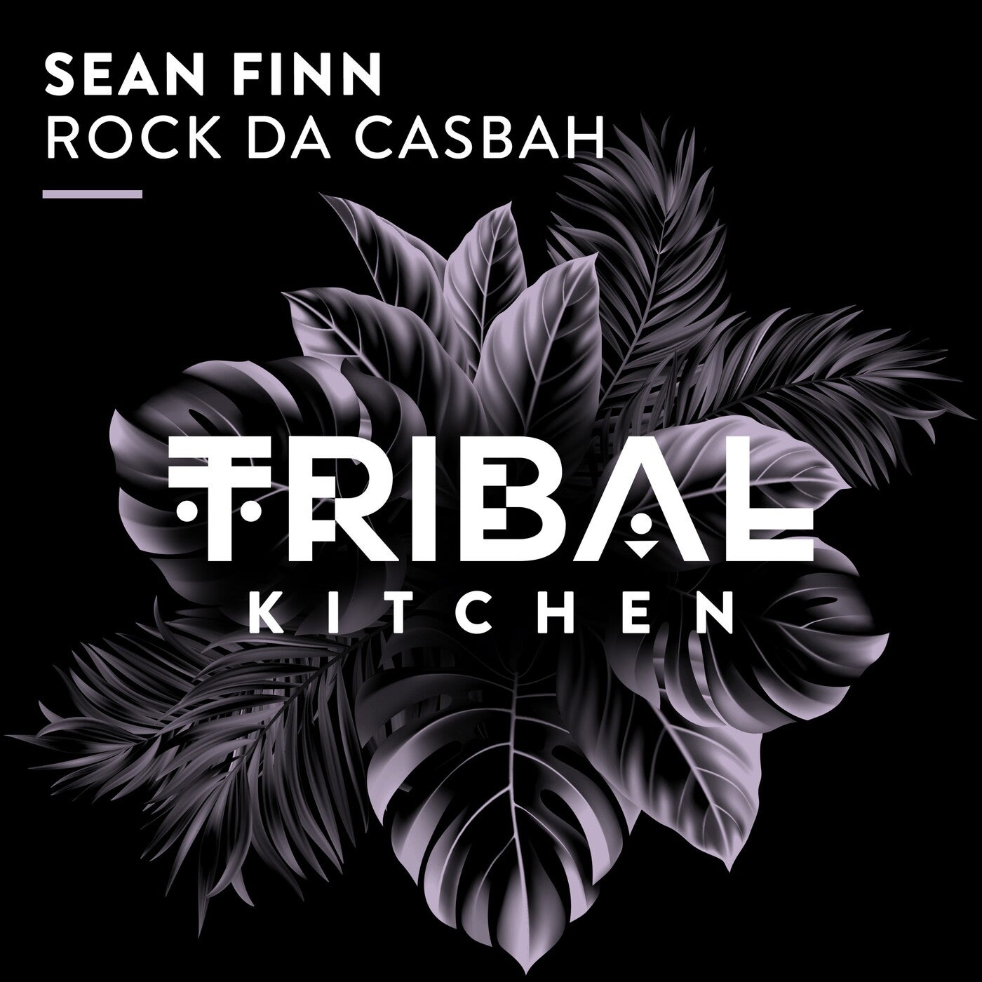 Cover - Sean Finn - Rock da Casbah (Extended Mix)