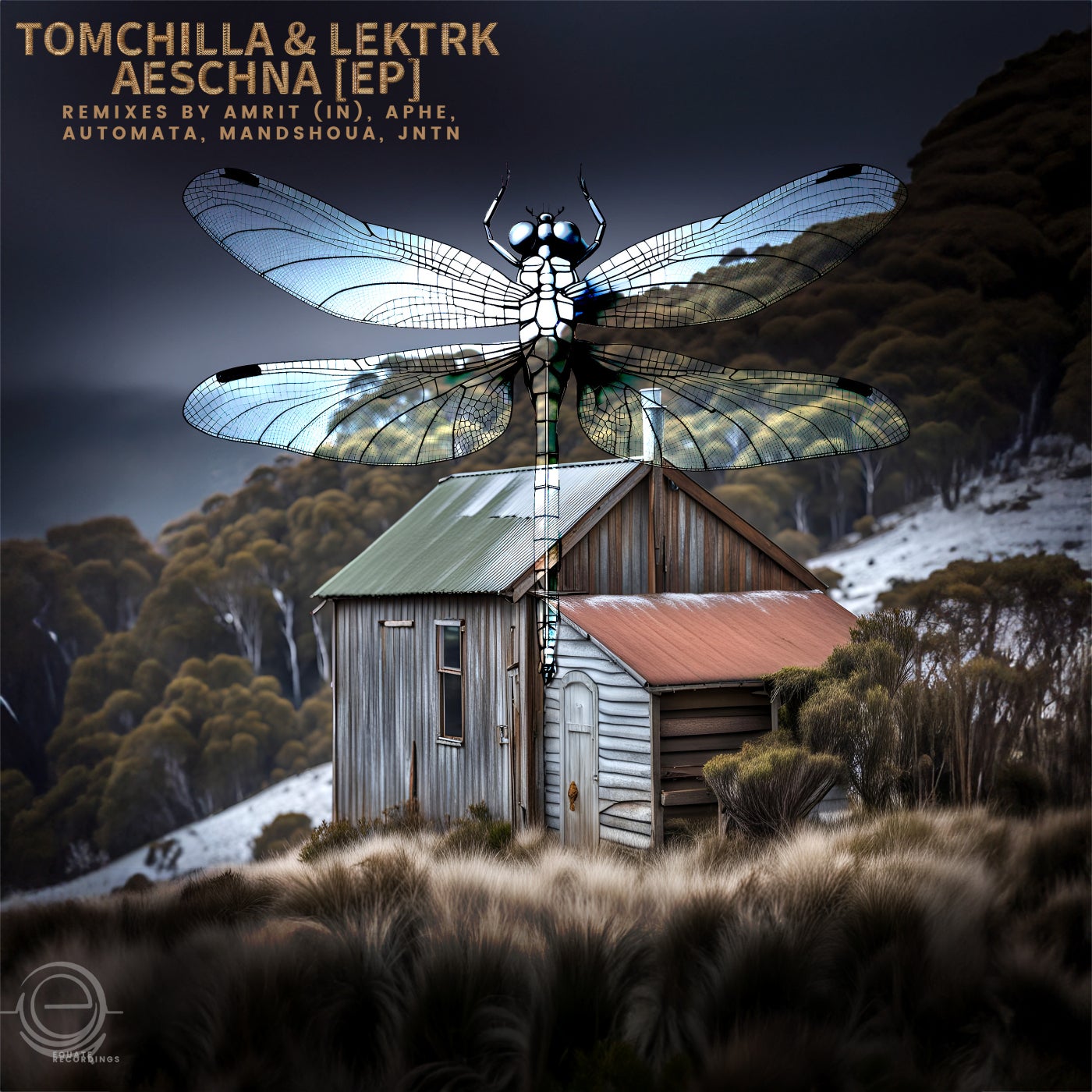 Cover - LEKTRK, Tomchilla - Del Fear (Automata Remix)