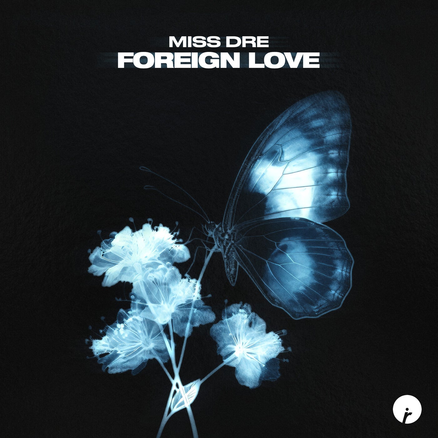 Cover - MISS DRE - Foreign Love (Original Mix)