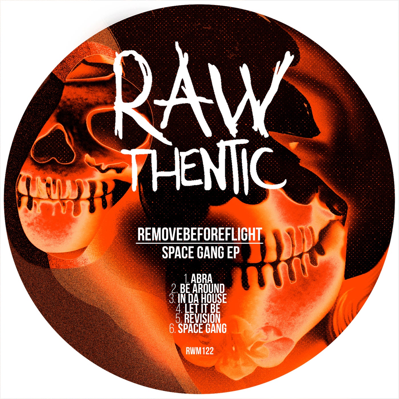Cover - RemoveBeforeFlight - In Da House (Original Mix)
