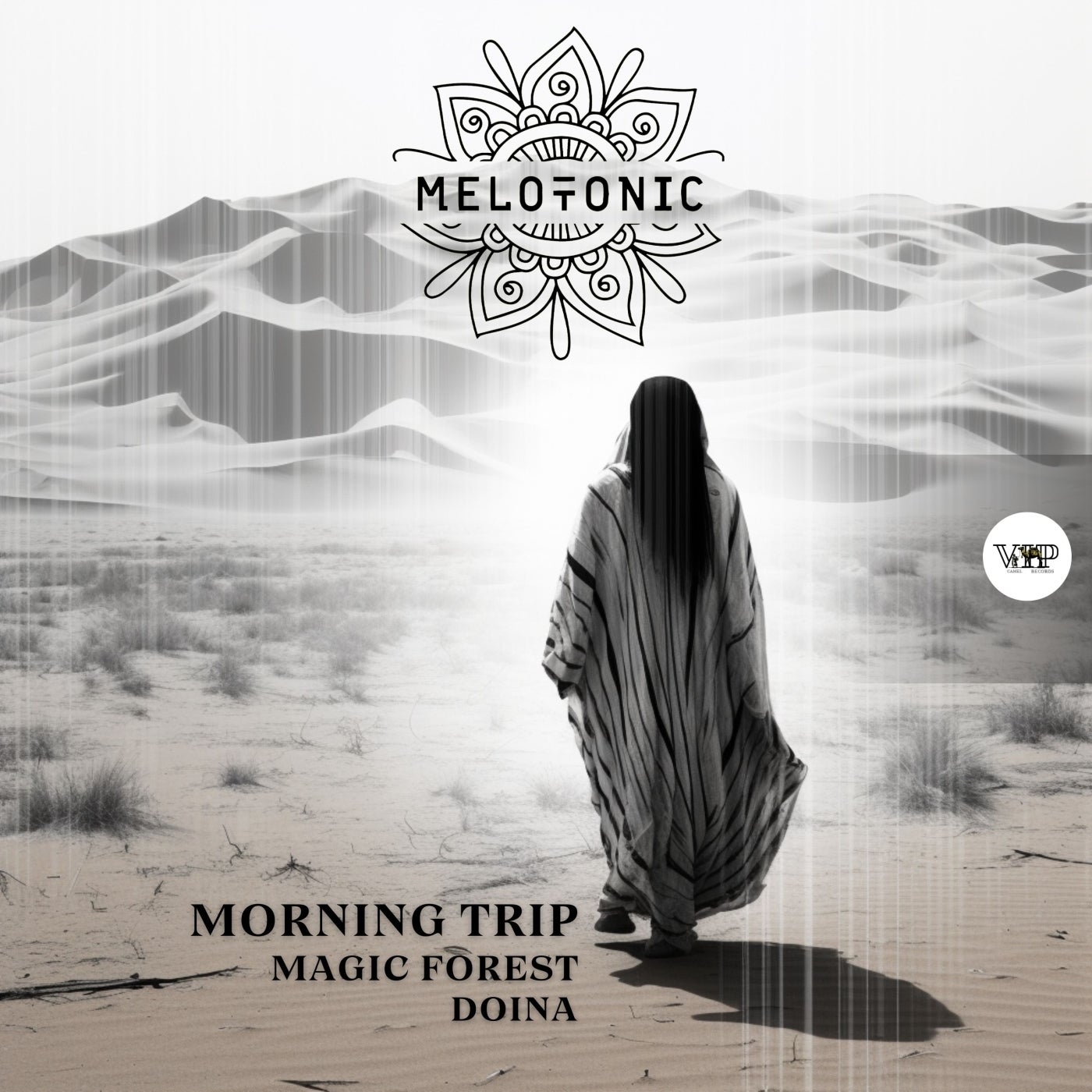 Cover - MELOTONIC - Doina (Original Mix)