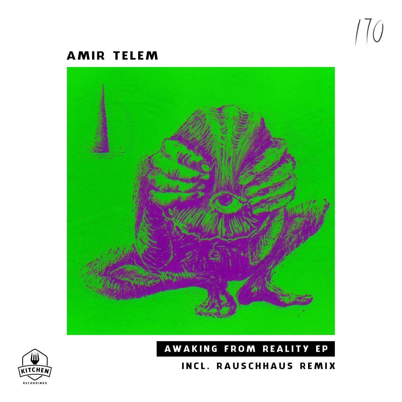 Cover - Amir Telem - Awaking From Reality (Original Mix)