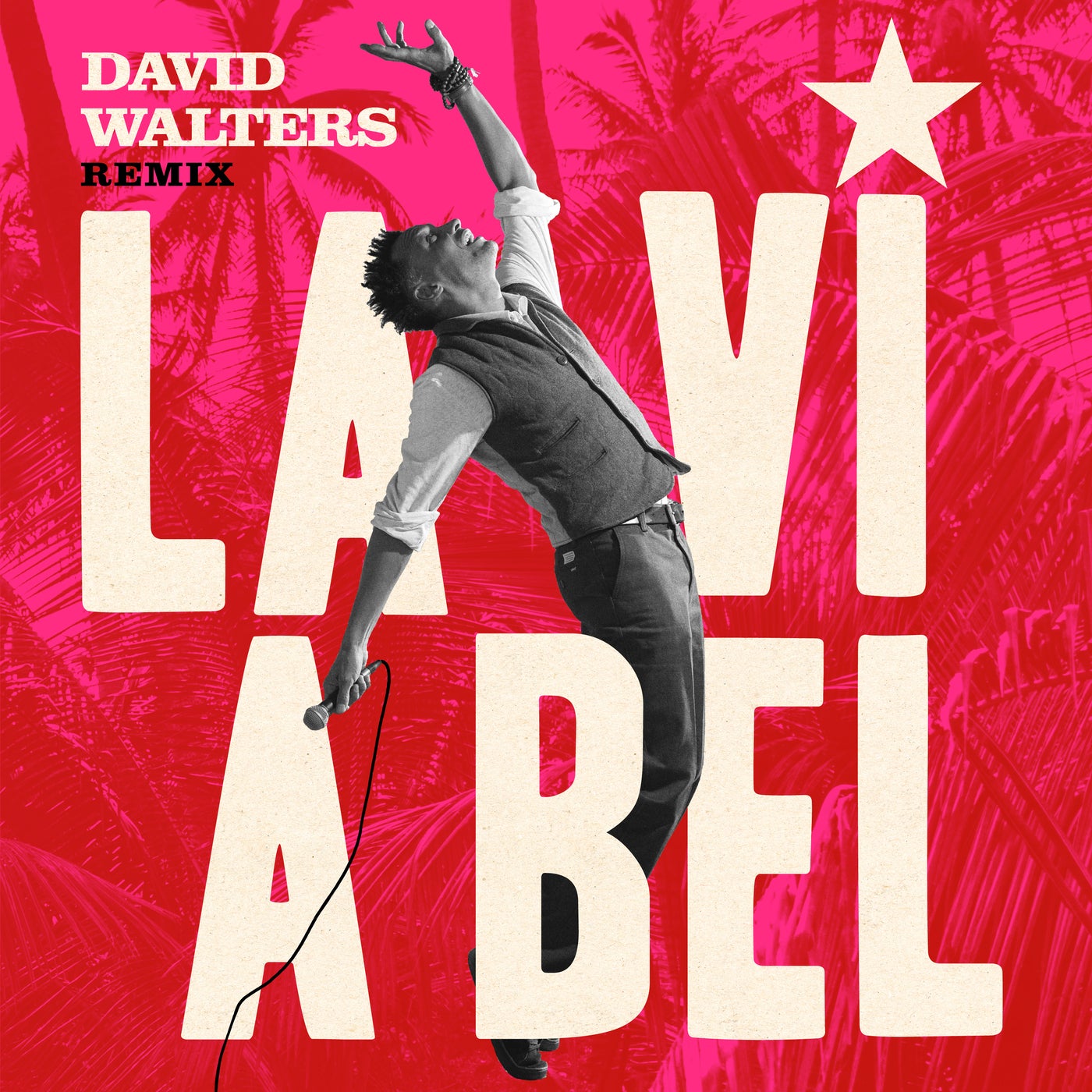 Cover - David Walters - La Vi A Bel (David Walters Club Mix)