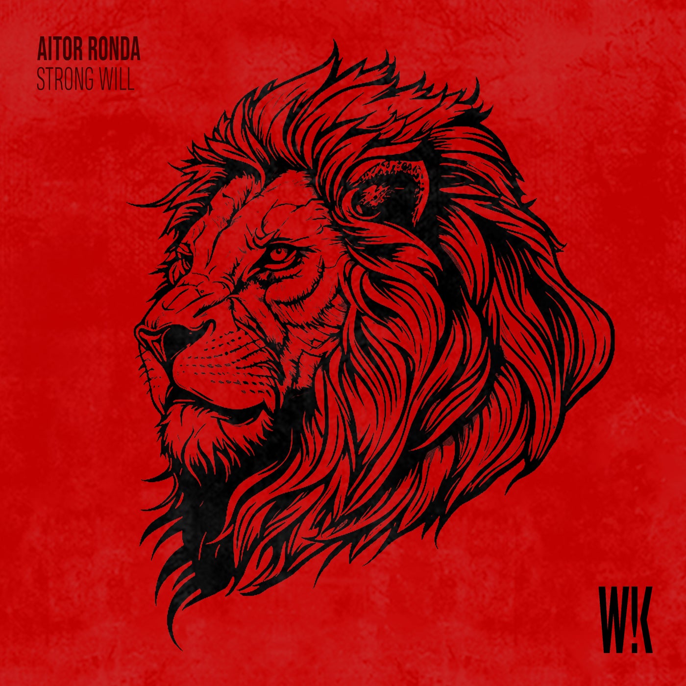 Cover - Aitor Ronda - Strong Will (Original Mix)