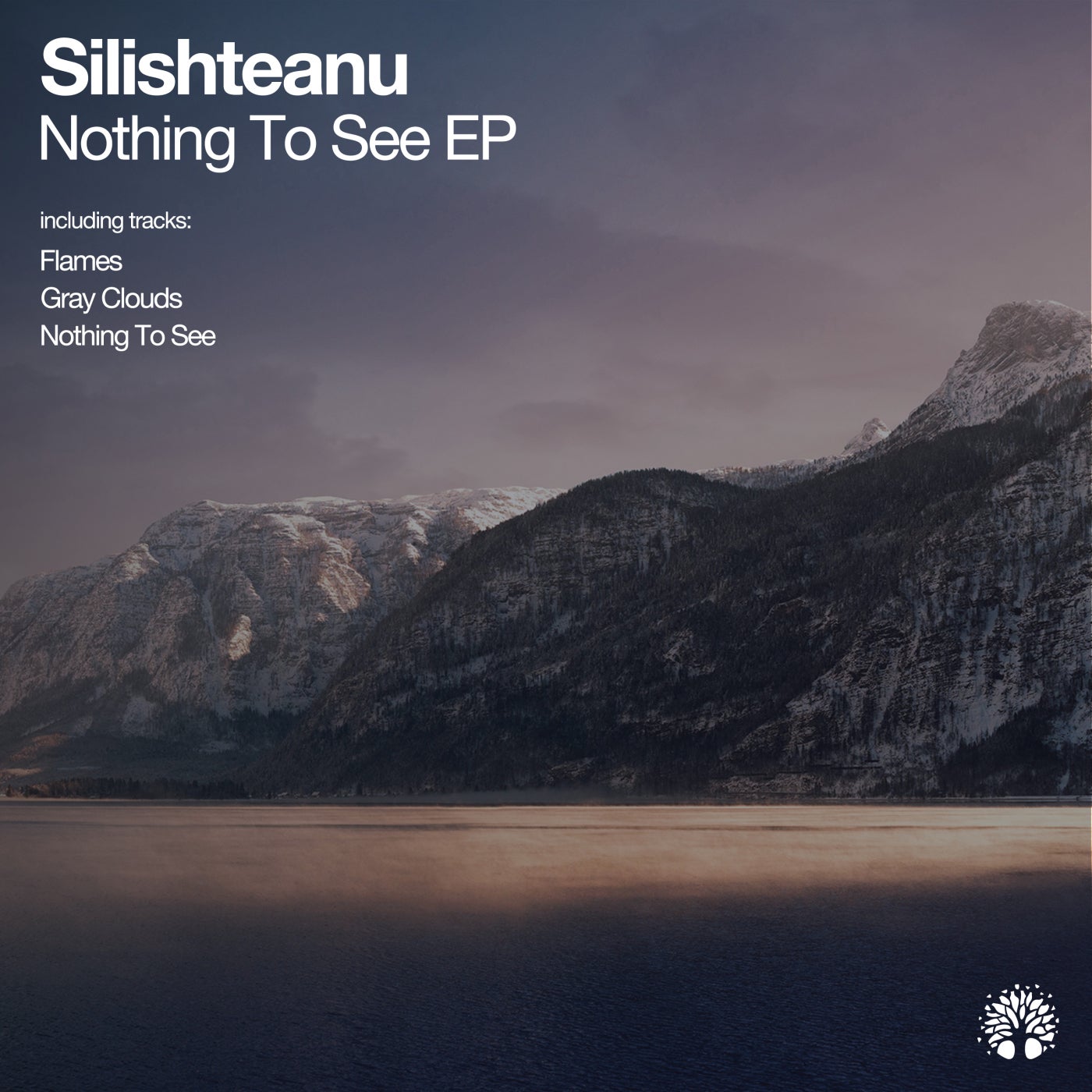 Cover - Silishteanu - Nothing to See (Original Mix)