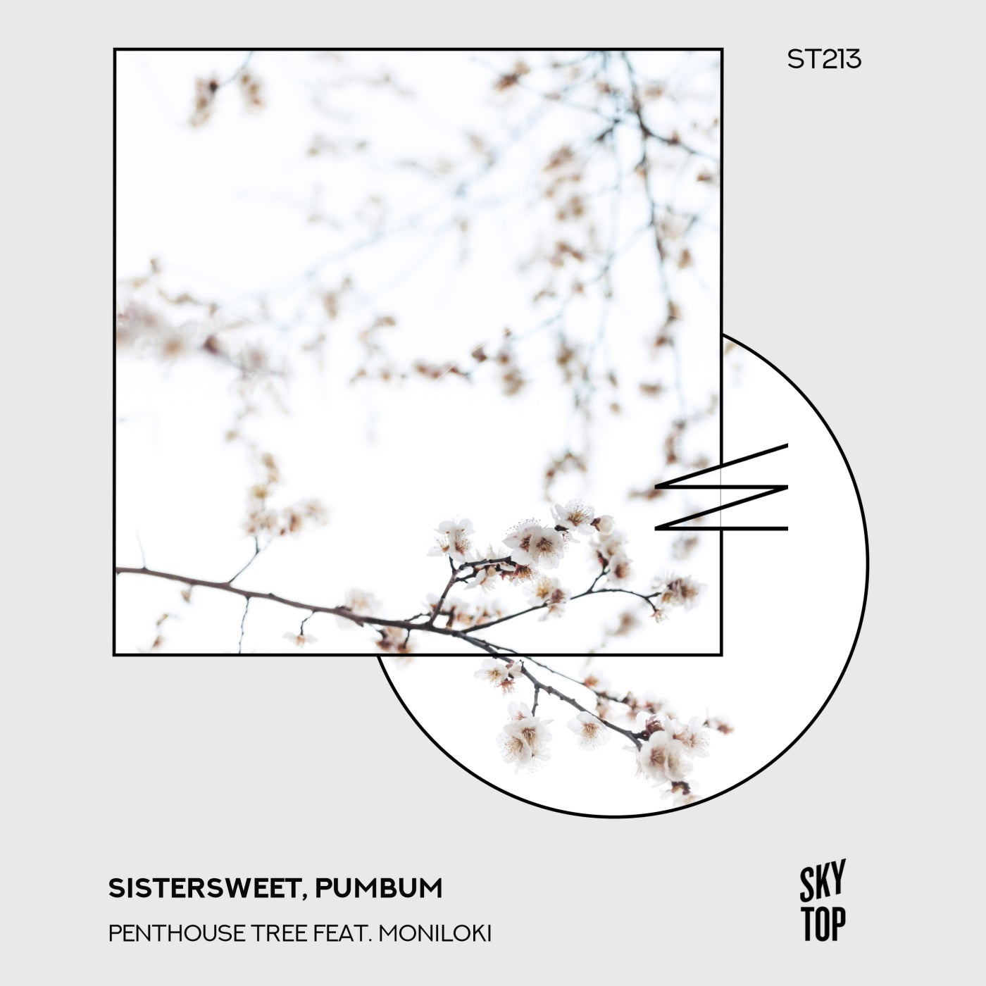 Cover - Sistersweet, pumbum - Penthouse Tree feat. moniloki (Extended Night Mix)