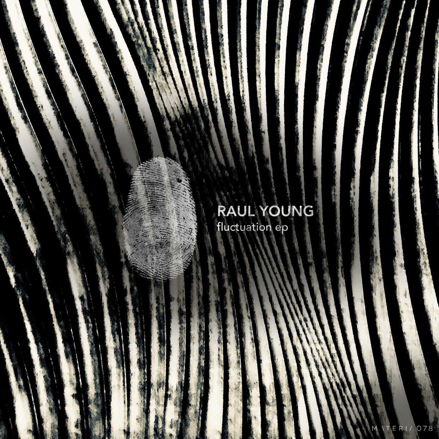 Cover - Raul Young - Hangar D (Original Mix)