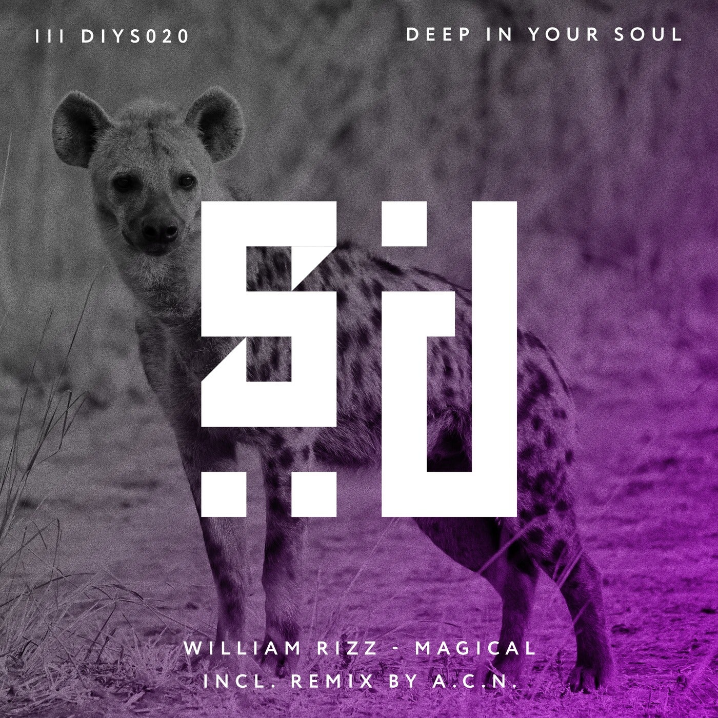 Cover - William Rizz - Magical (Original Mix)