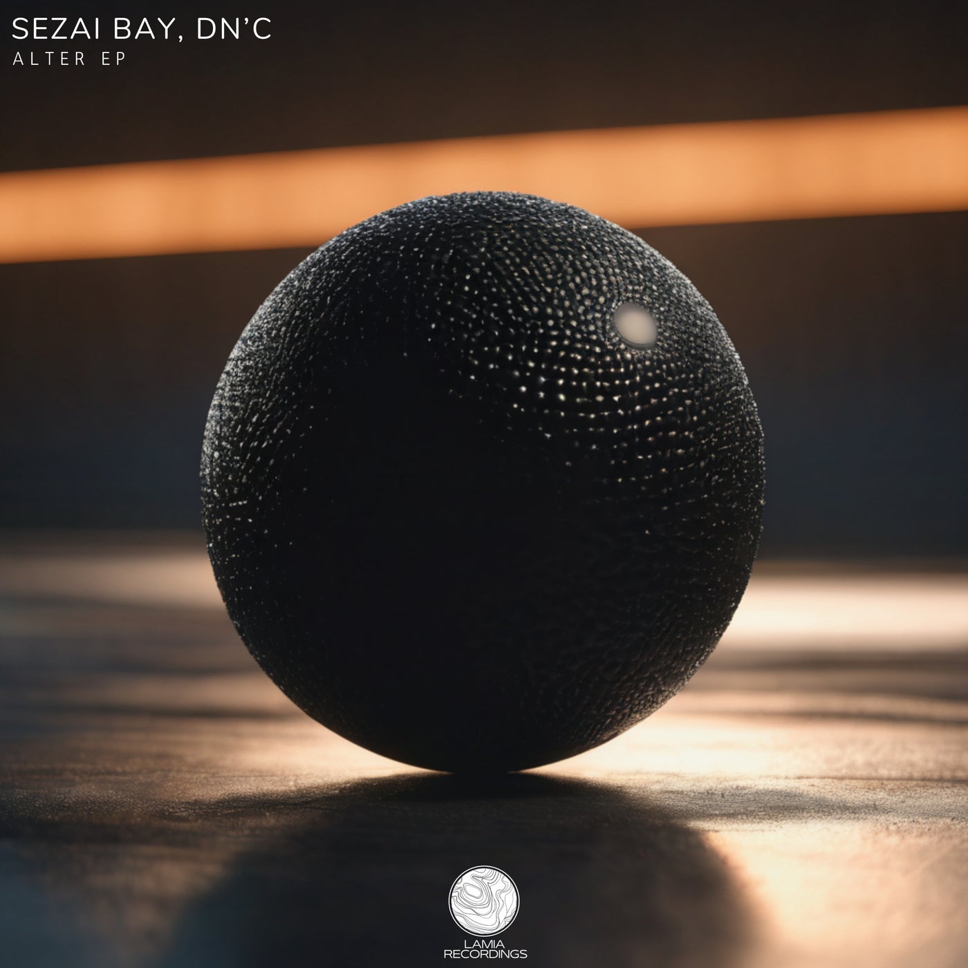 Cover - Sezai BAY, DN'C - Alter (Original Mix)