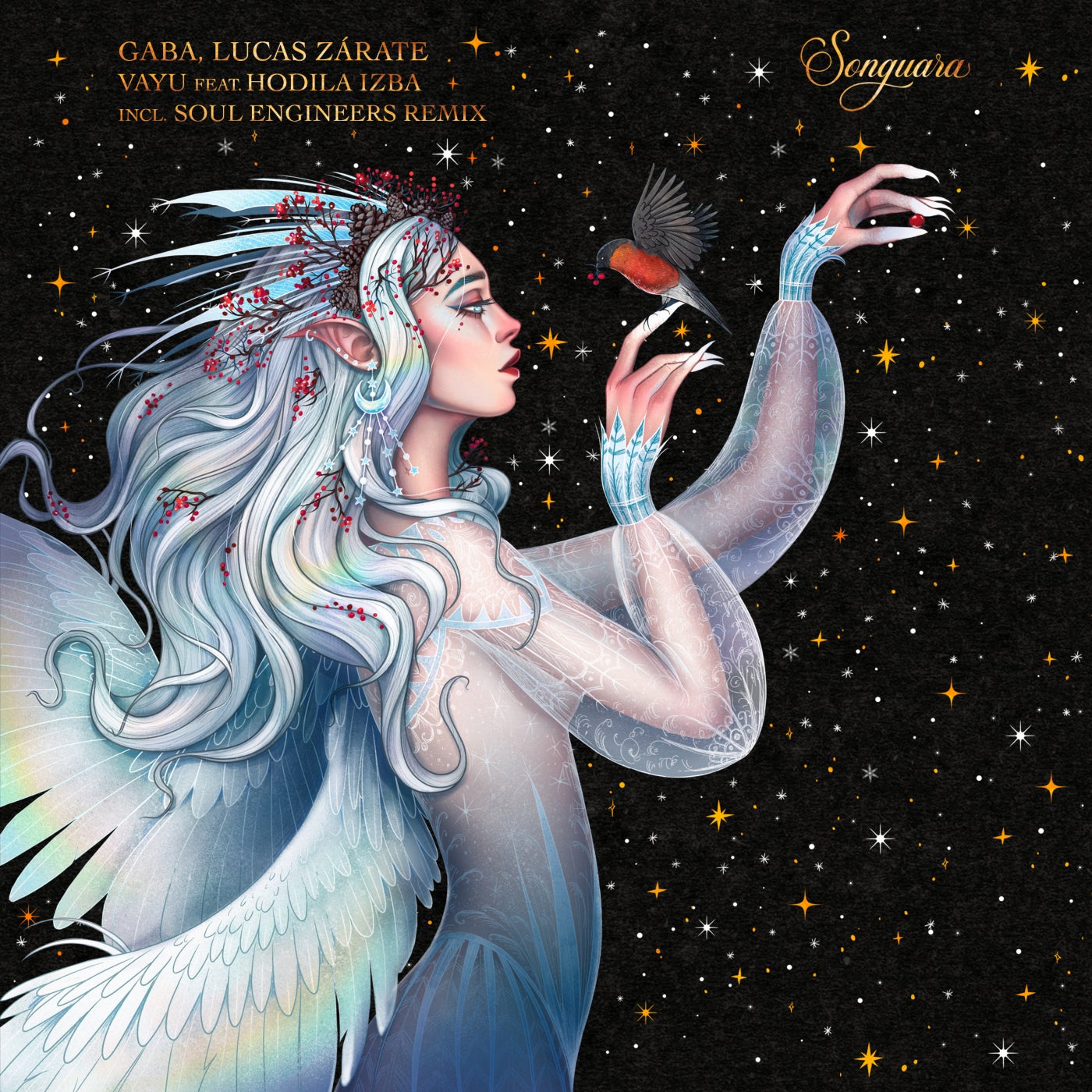 Cover - Lucas Zárate, Gaba (BRA), Hodila Izba - Vayu (Soul Engineers Remix)
