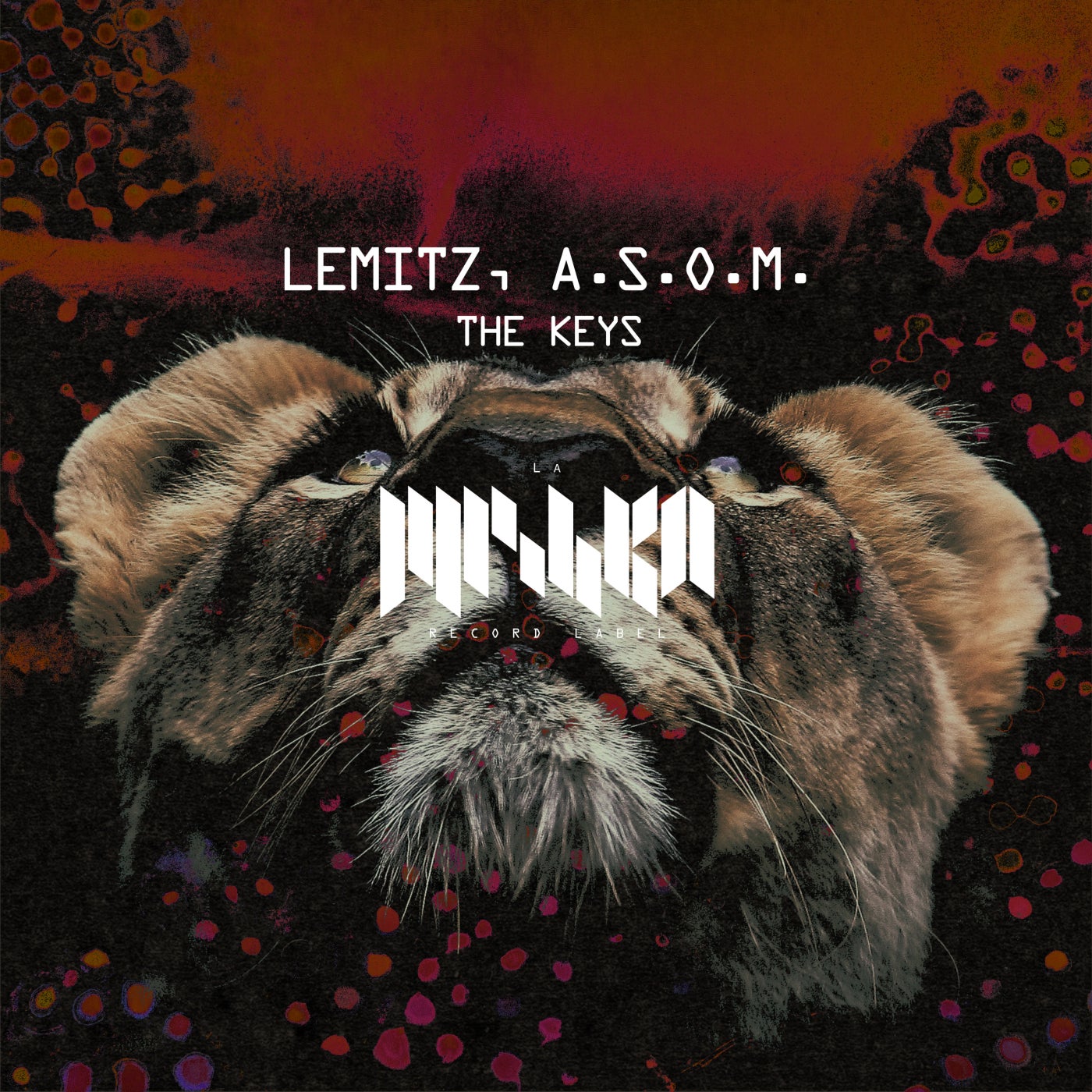 Cover - Lemitz, A.S.O.M. - The Keys (Extended Mix)