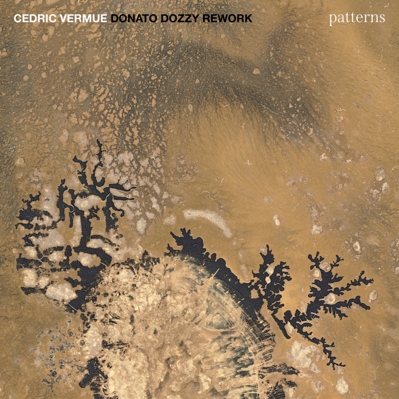 Cover - Donato Dozzy, Cedric Vermue - Patterns (Donato Dozzy Rework)