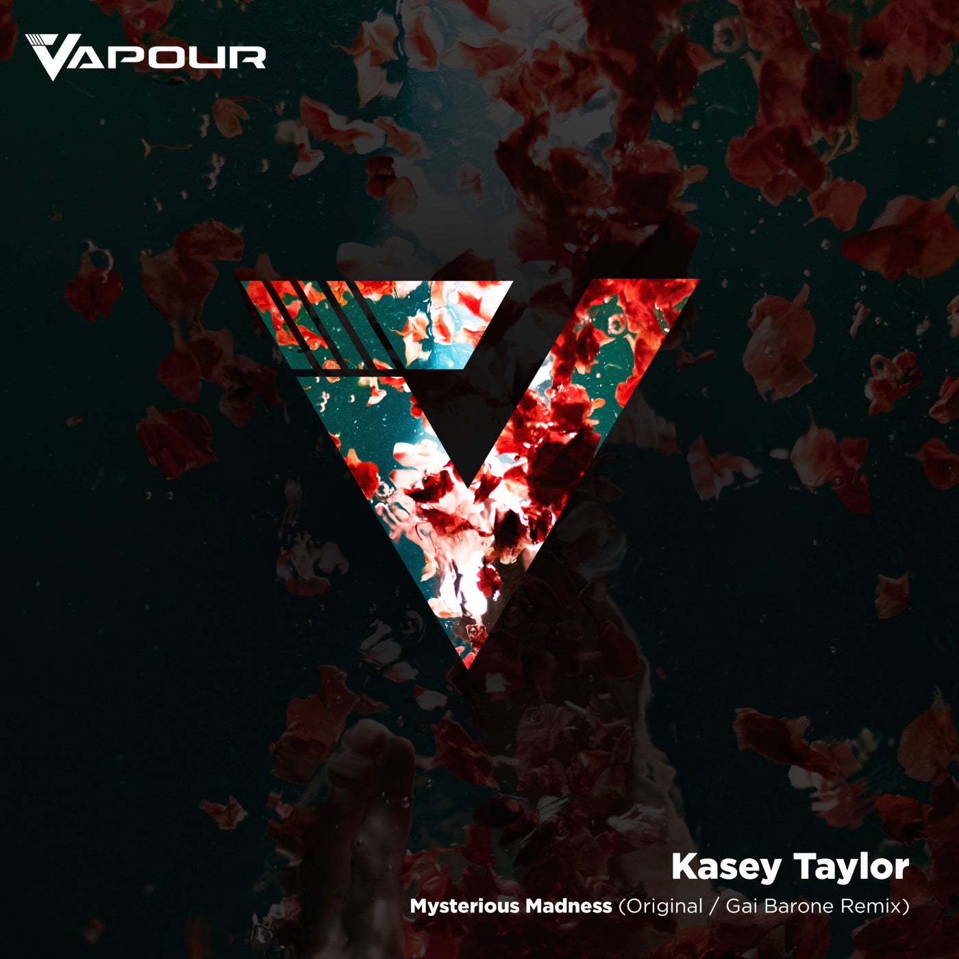 Cover - Kasey Taylor - Mysterious Madness (Original Mix)