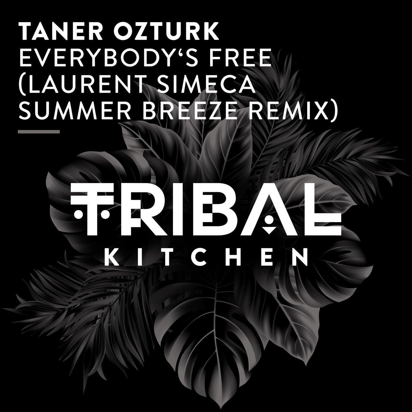 Cover - Taner Ozturk - Everybody's Free (Laurent Simeca Summer Breeze Extended Remix)