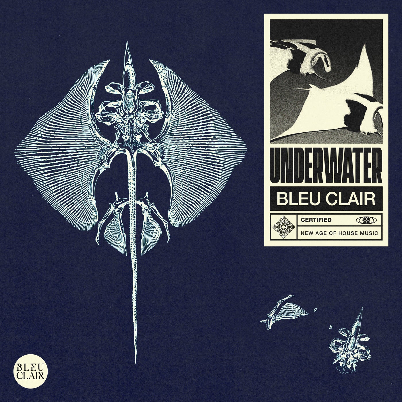 Cover - Bleu Clair - Underwater (Original Mix)