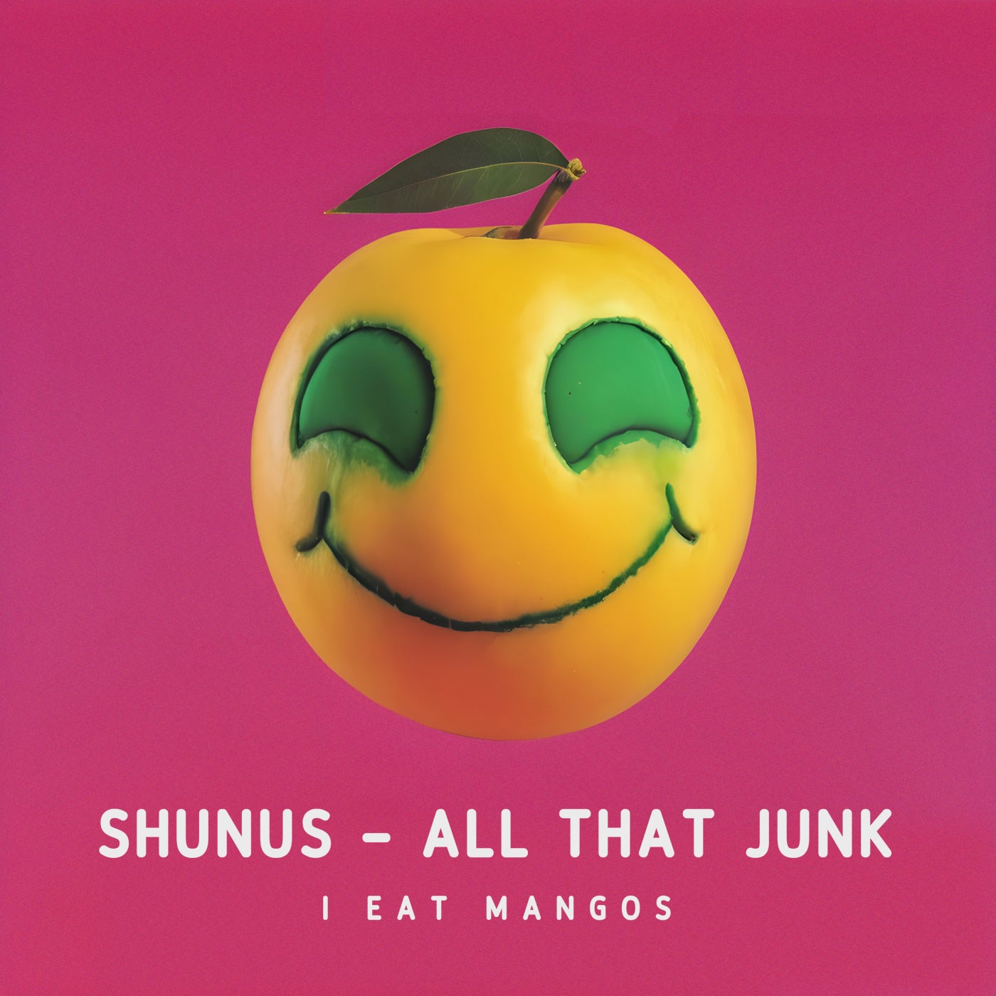 Cover - Shunus - I Like the Way You Work That (Original Mix)