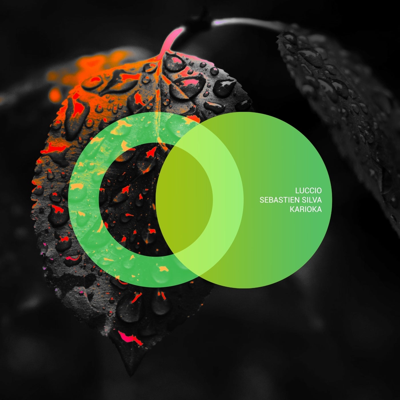 Cover - Luccio, Sebastien Silva - Karioka (Original Mix)