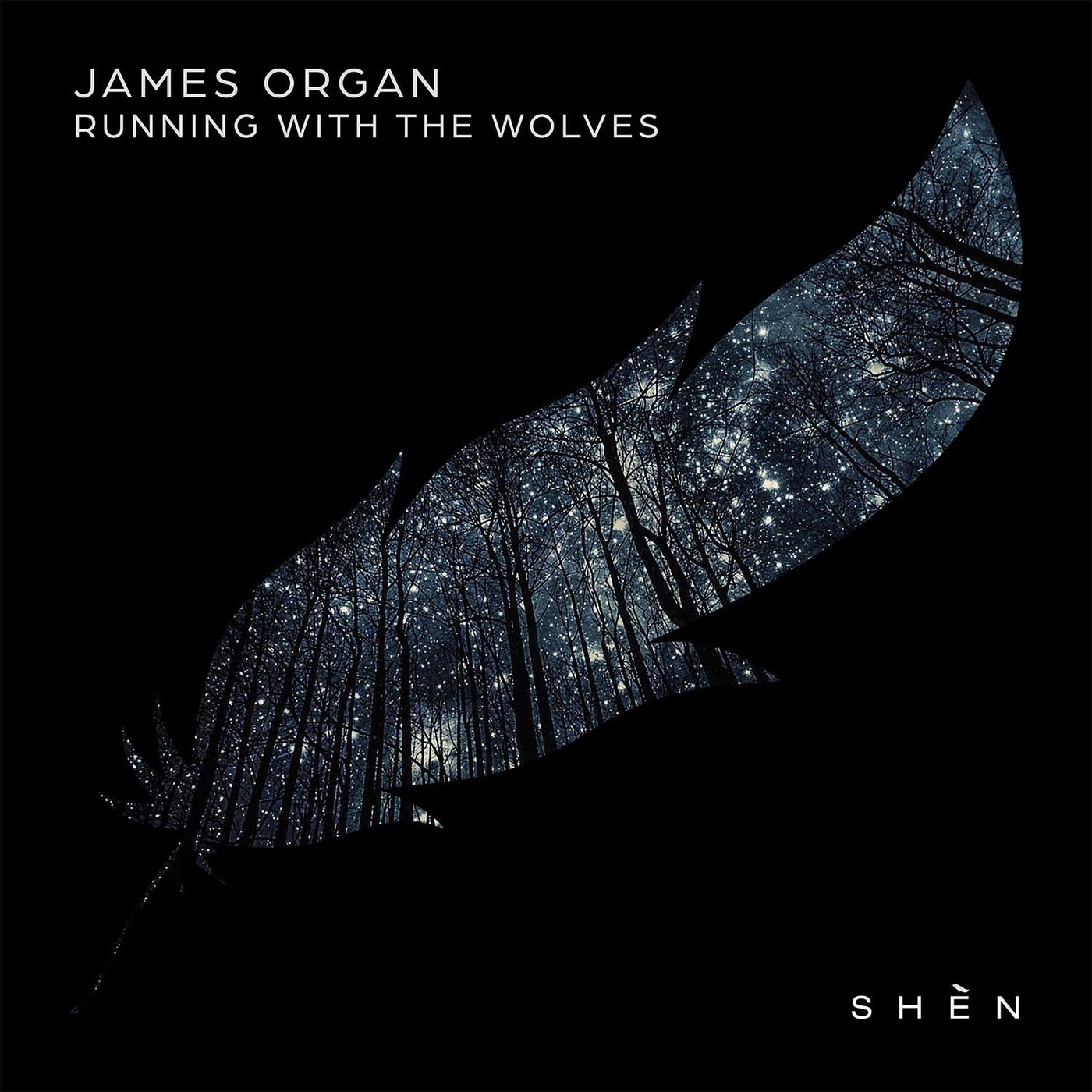 Cover - James Organ, Francis Waves - Running With The Wolves (feat. Francis Waves) (Original Mix)