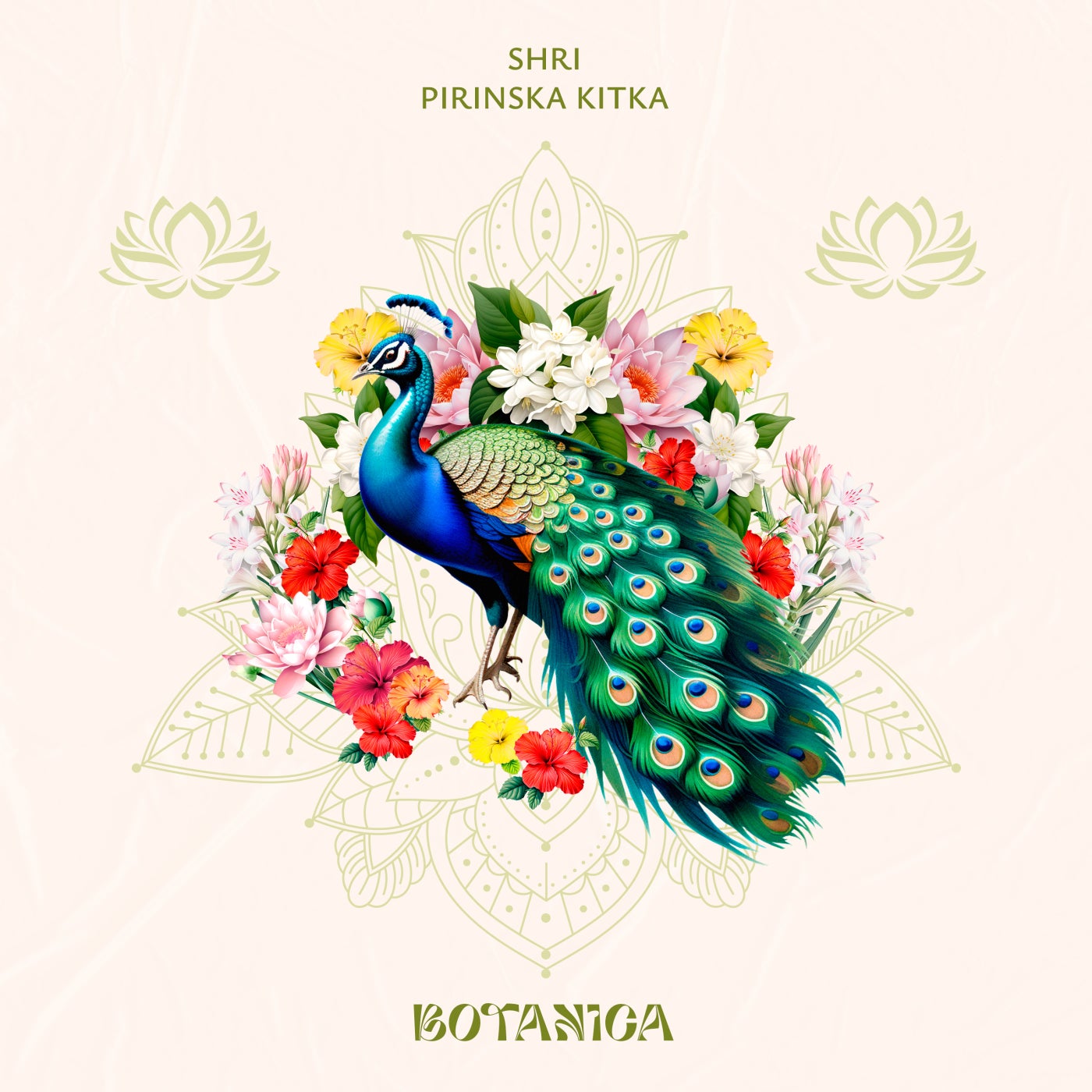 Cover - SHRI (IND) - Pirinska Kitka (Original Mix)