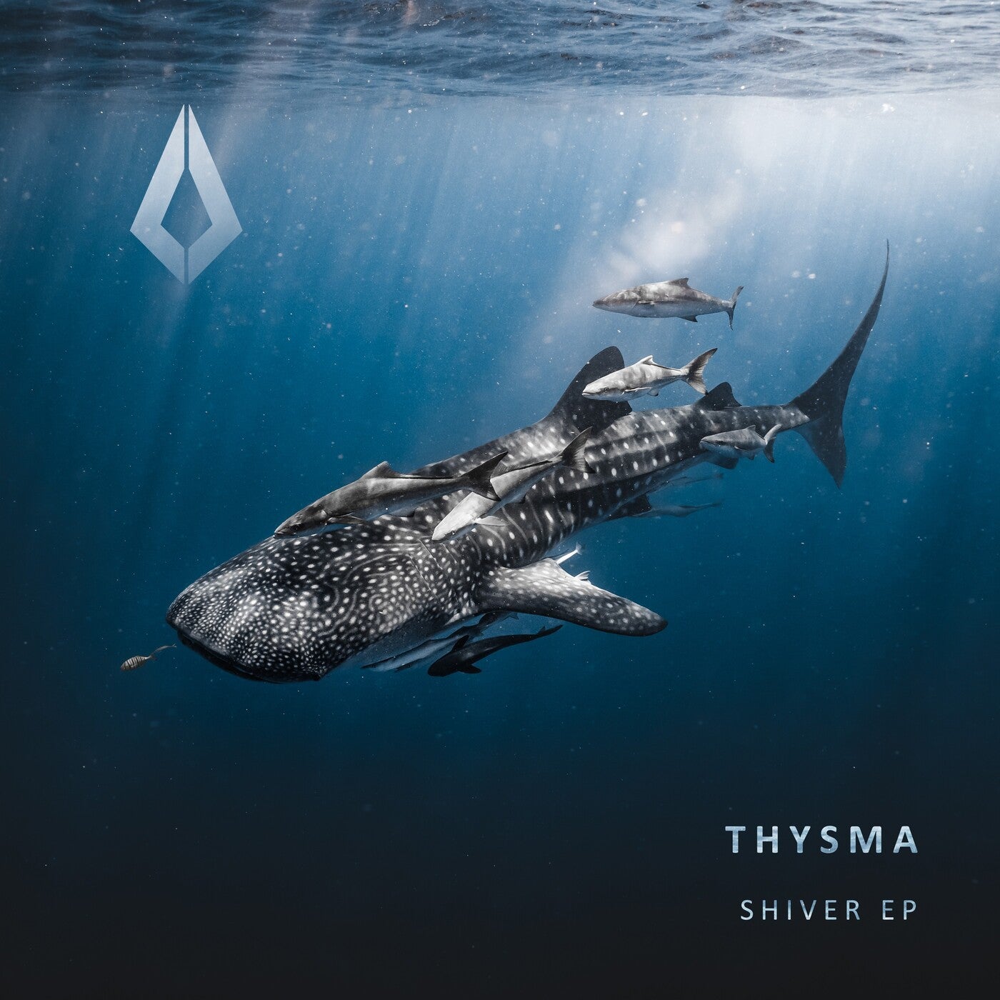 Cover - Thysma - Shiver (Extended Mix)