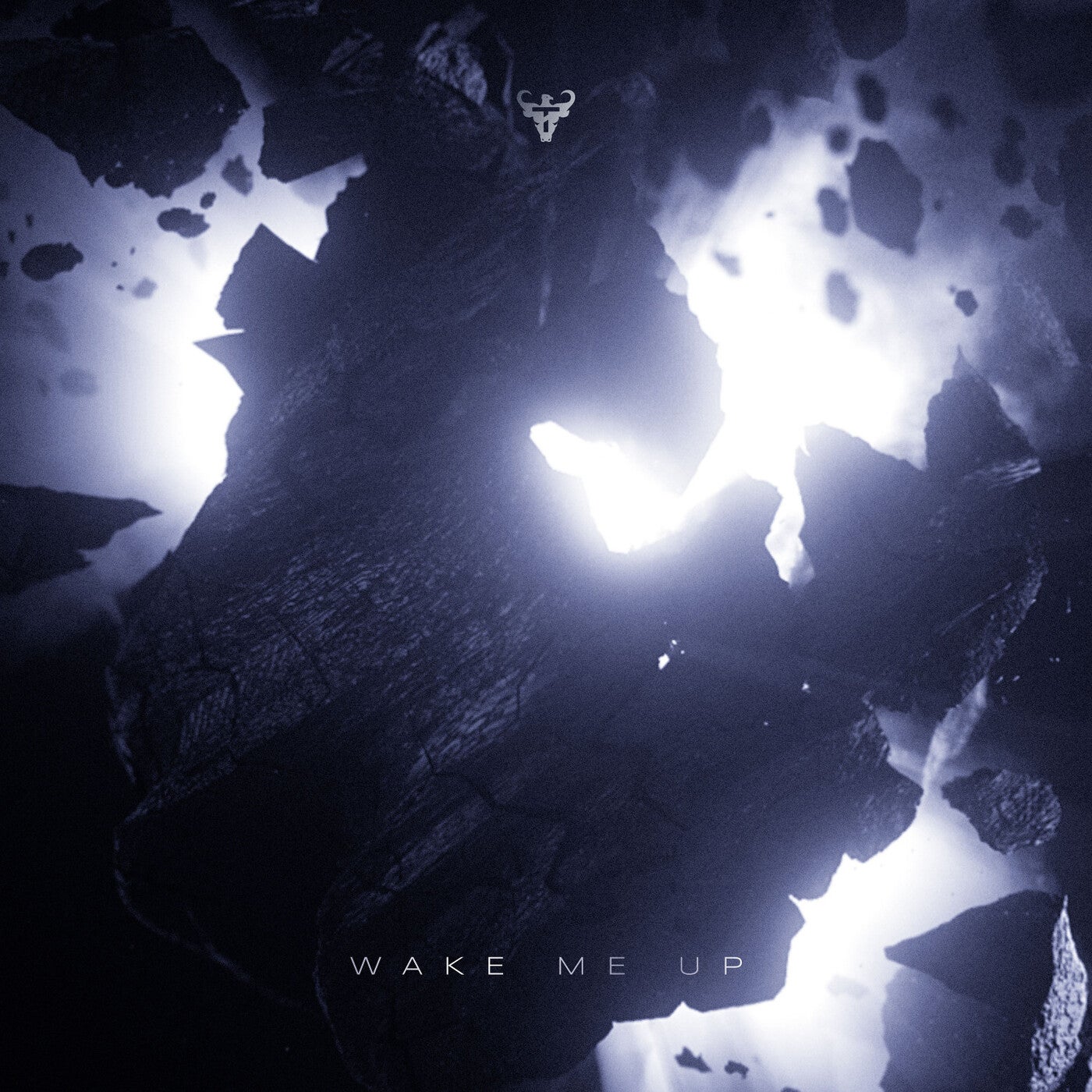 Cover - Tescao - Wake Me Up (Extended mix)