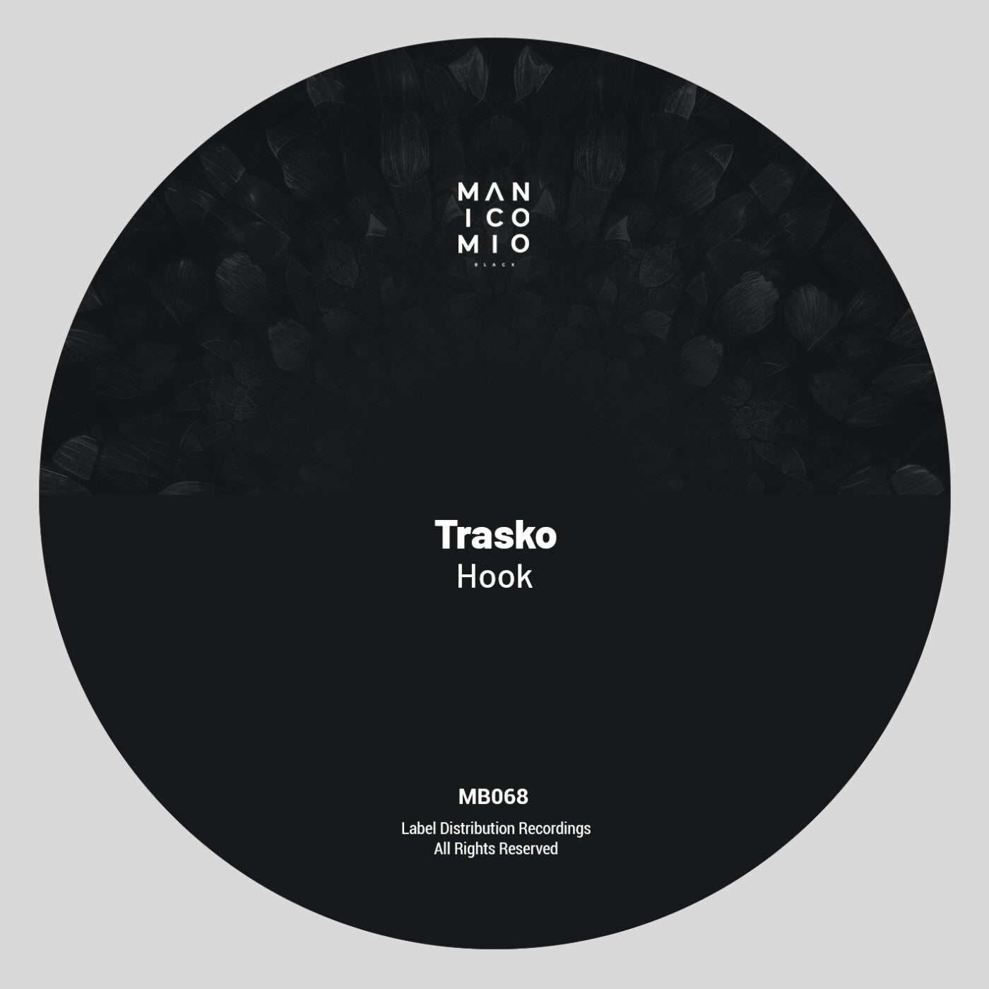 Cover - Trasko - Hook (Original Mix)