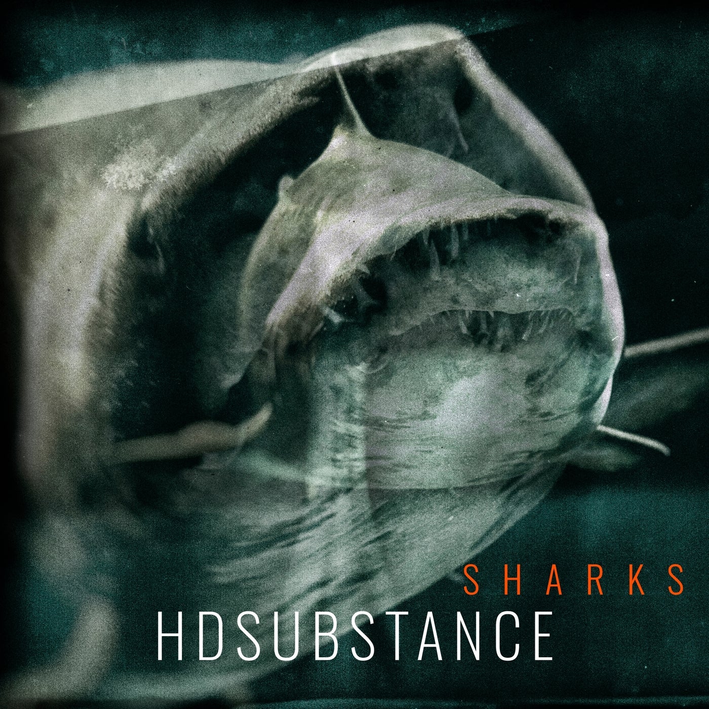 Cover - HD Substance - Angel Shark (Original Mix)