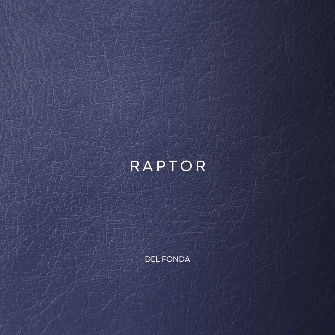 Cover - Del Fonda - Raptor (Original Mix)