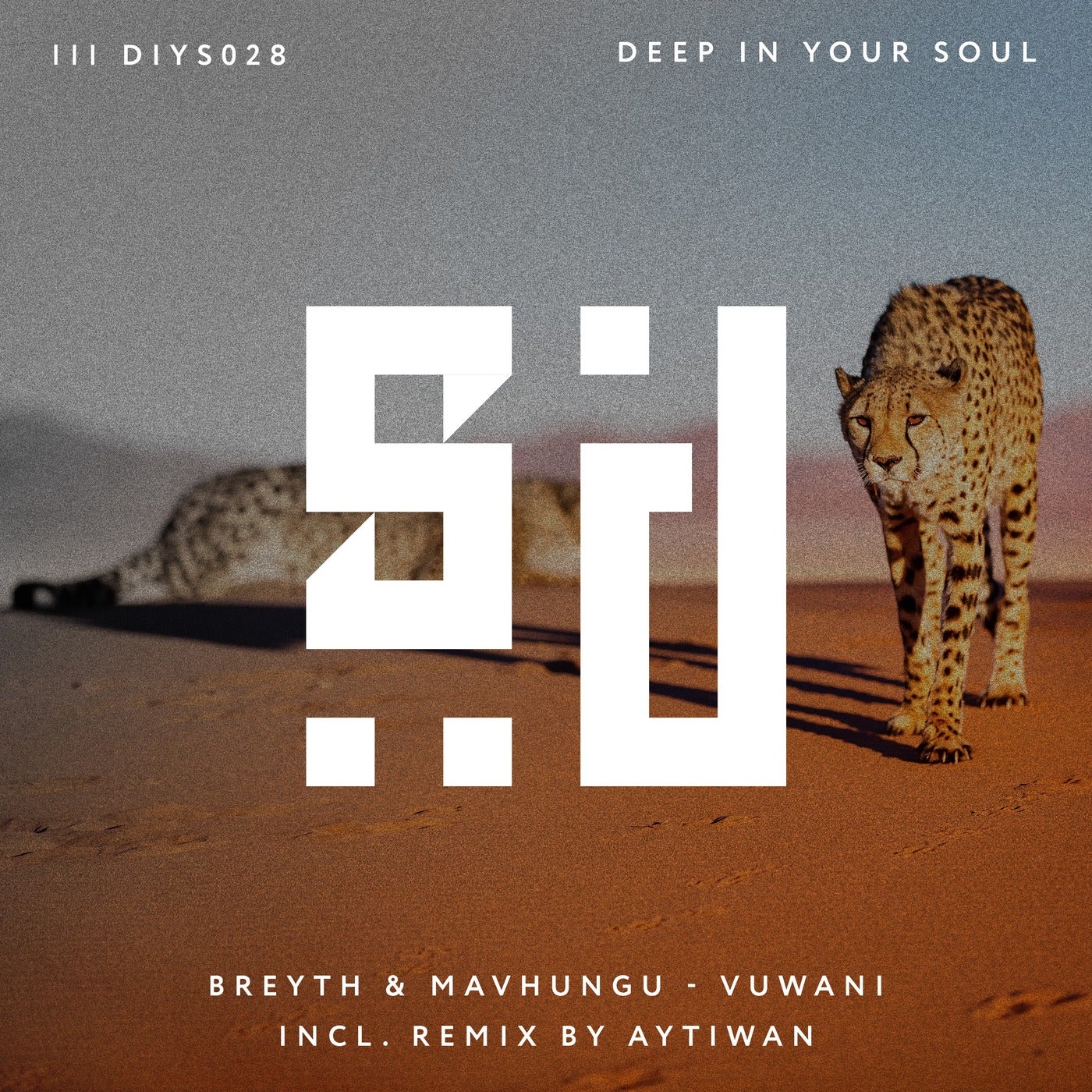 Cover - Breyth, Mavhungu - Vuwani (Aytiwan Remix)
