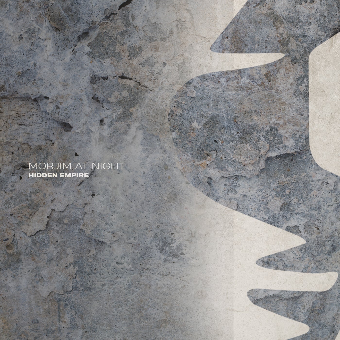 Cover - Hidden Empire - Cantus Animi (Extended Mix)