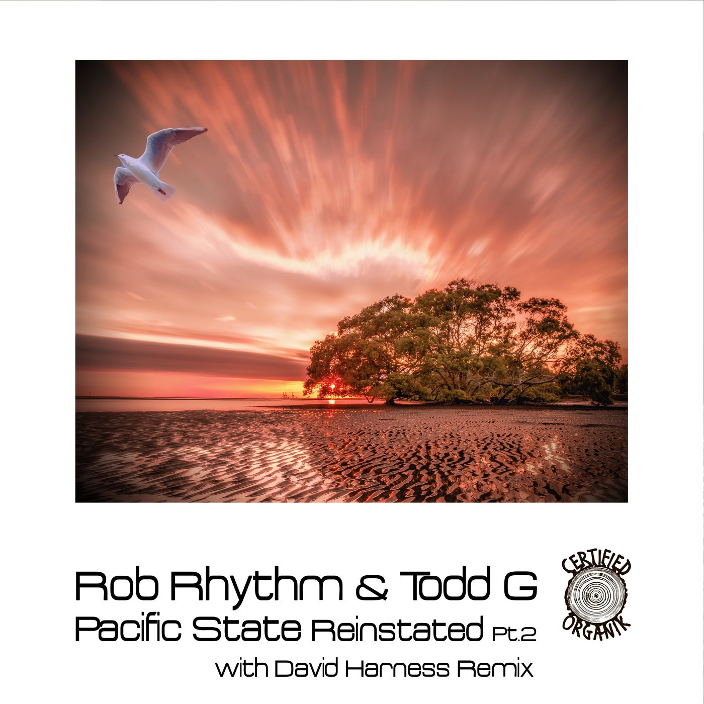 Cover - Todd G, Rob Rhythm - Pacific State Reinstated Pt.2 (David HarnessYoself Remix)