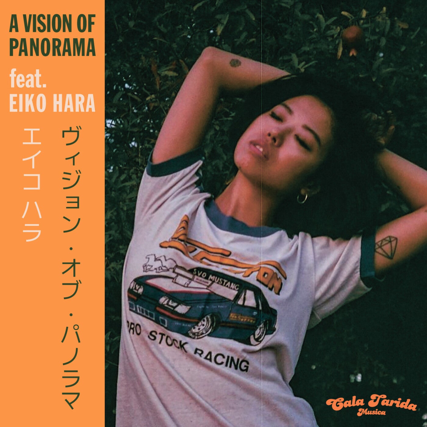 Cover - A Vision of Panorama, Eiko Hara - Unconditional (Original Mix)