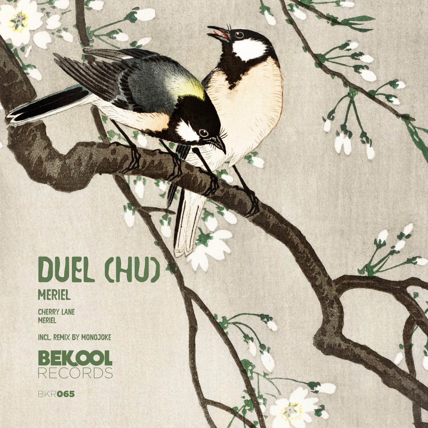 Cover - Duel (HU) - Meriel (Monojoke Remix)