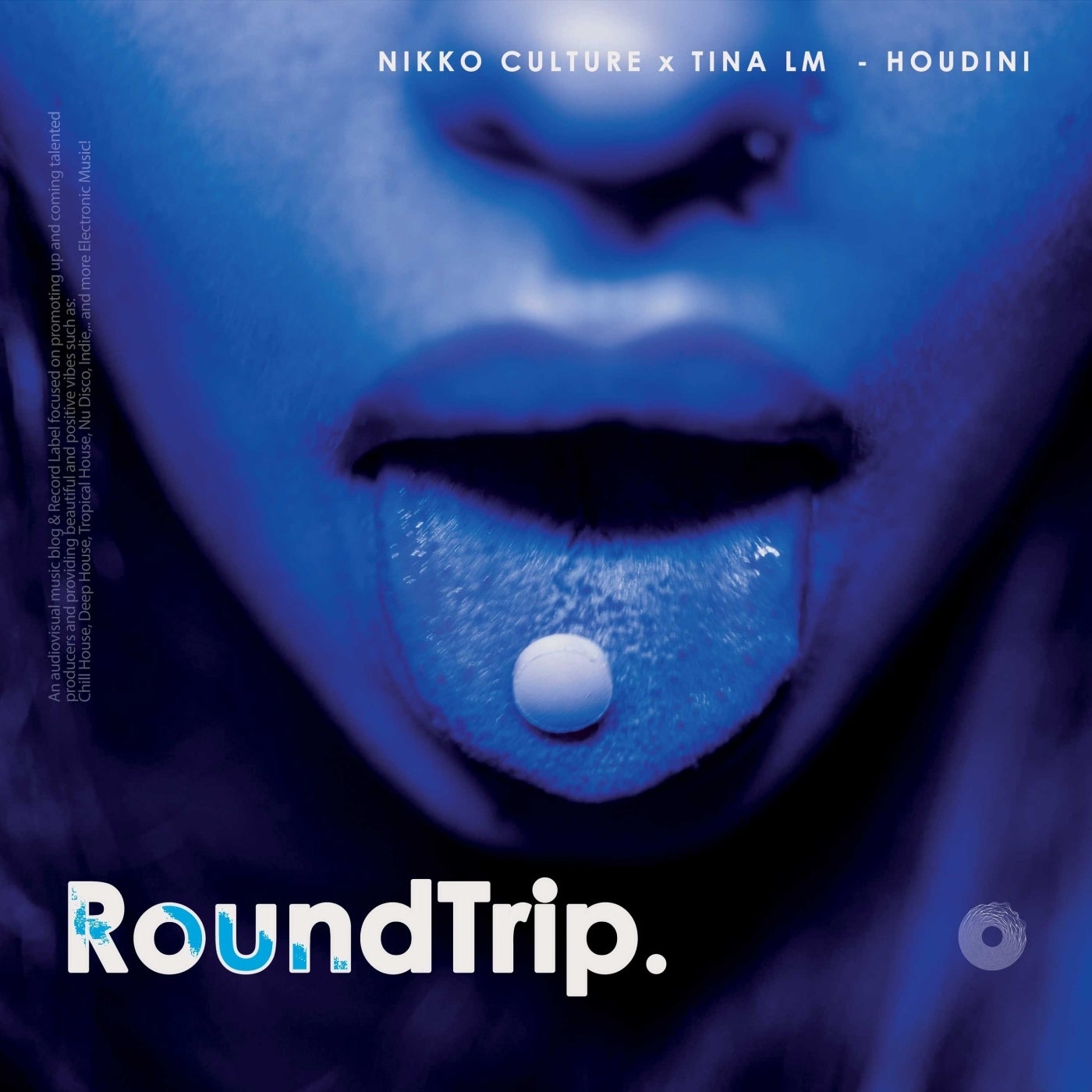 Cover - Nikko Culture, Tina Lm, RoundTrip.Music - Houdini (Original Mix)