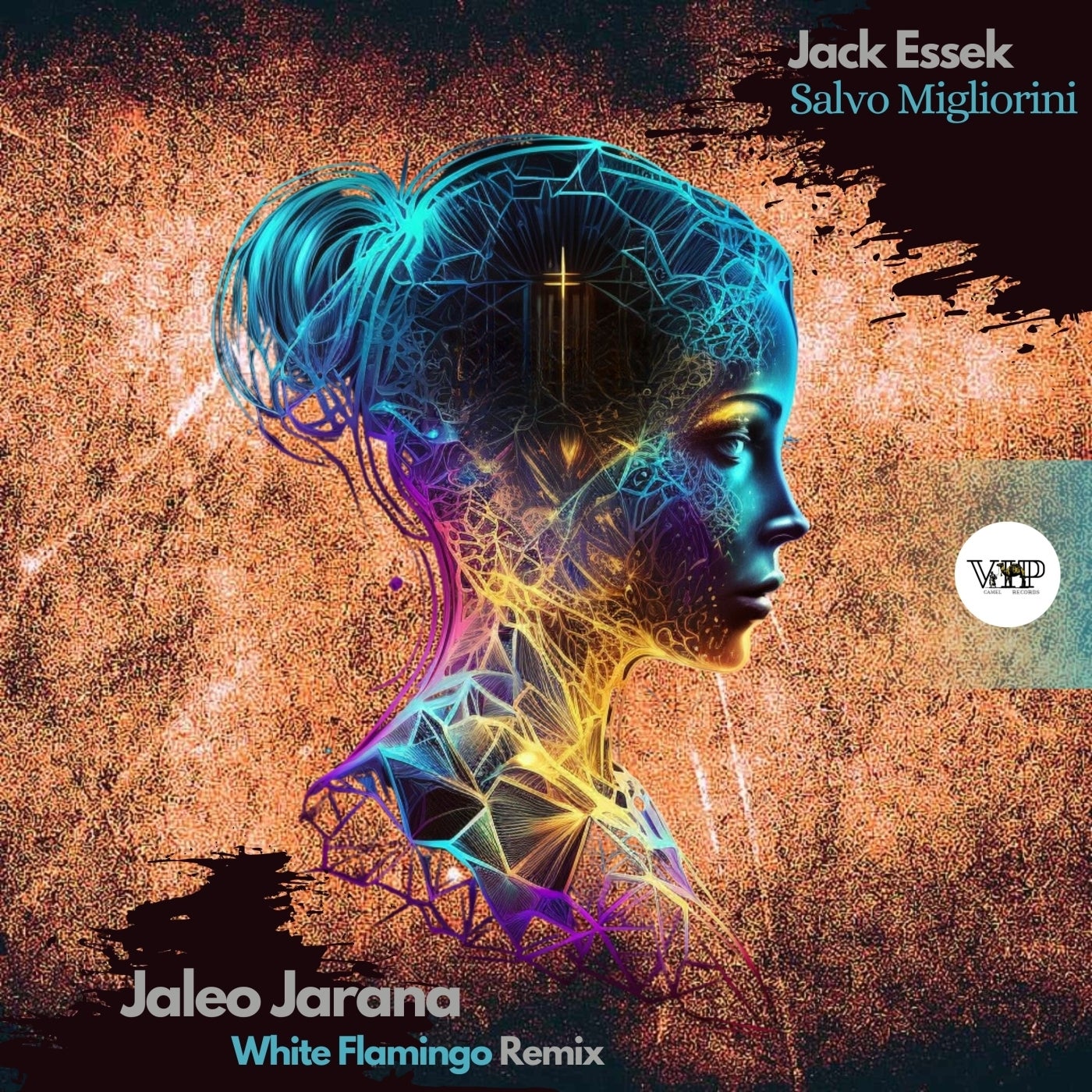 Cover - Jack Essek, Salvo Migliorini - Jaleo Jarana (White Flamingo Remix)
