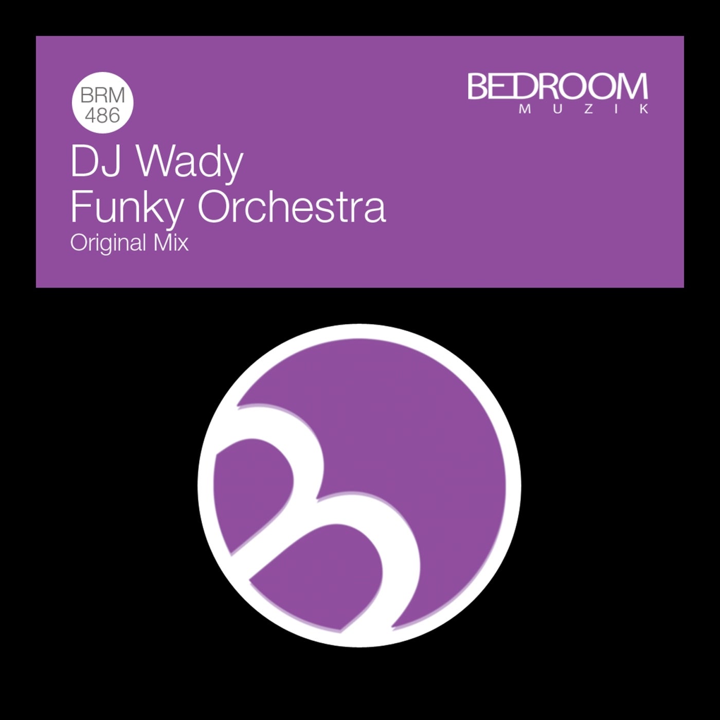 Cover - DJ Wady - Funky Orchestra (Original Mix)