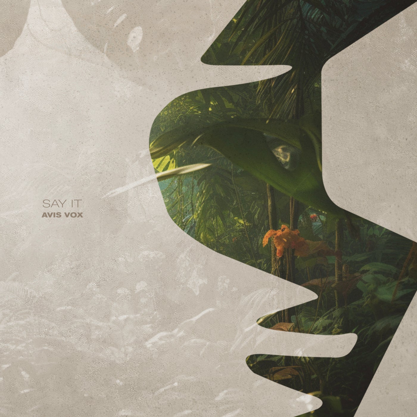 Cover - Avis Vox - Across the Line (Extended Mix)