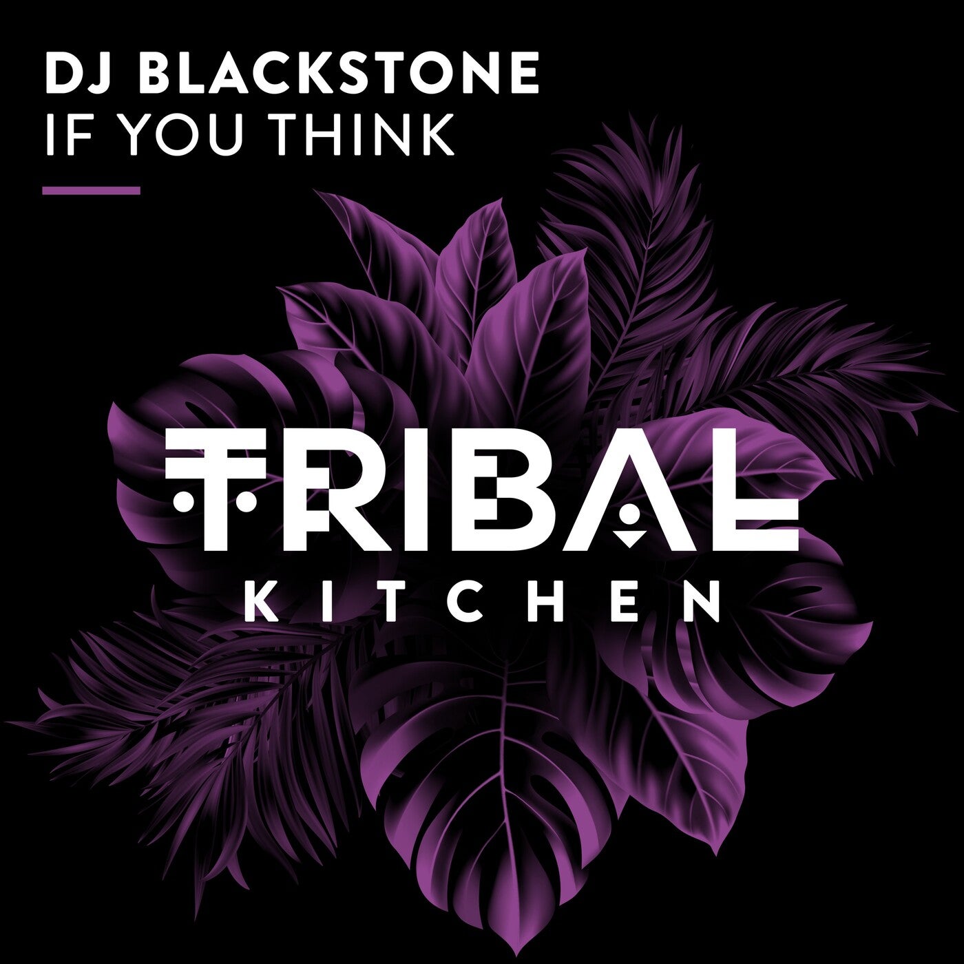 Cover - DJ Blackstone - If You Think (Extended Mix)