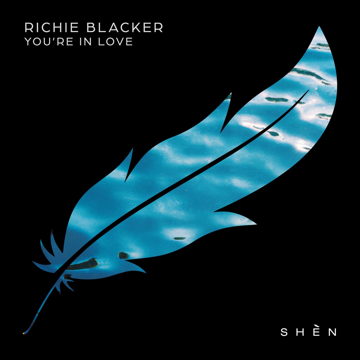 Cover - Richie Blacker - You're In Love (Original Mix)