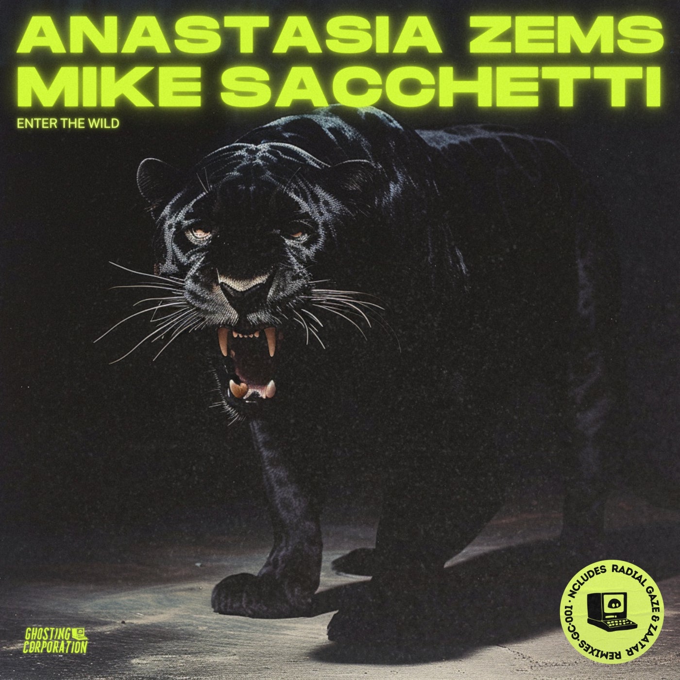 Cover - Anastasia Zems, Mike Sacchetti - The World's a Dream (Radial Gaze Remix)