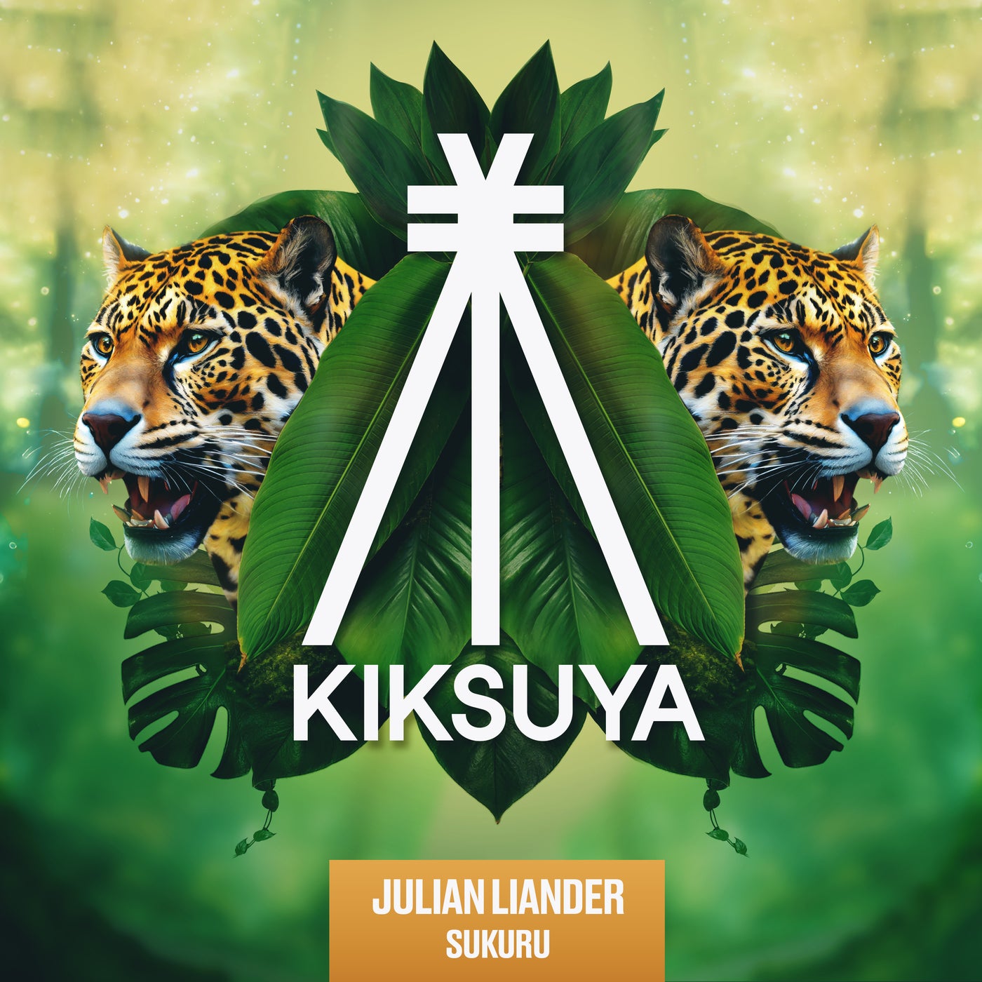 Cover - Julian Liander - Sukuru (Extended Mix)