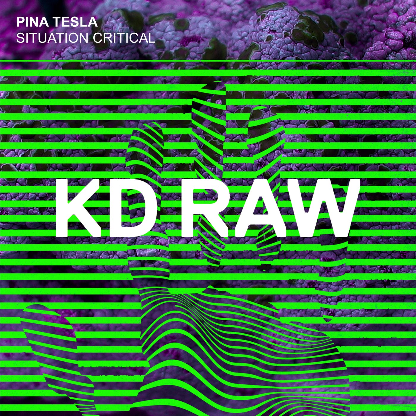 Cover - Pina Tesla - Situation Critical (Original Mix)