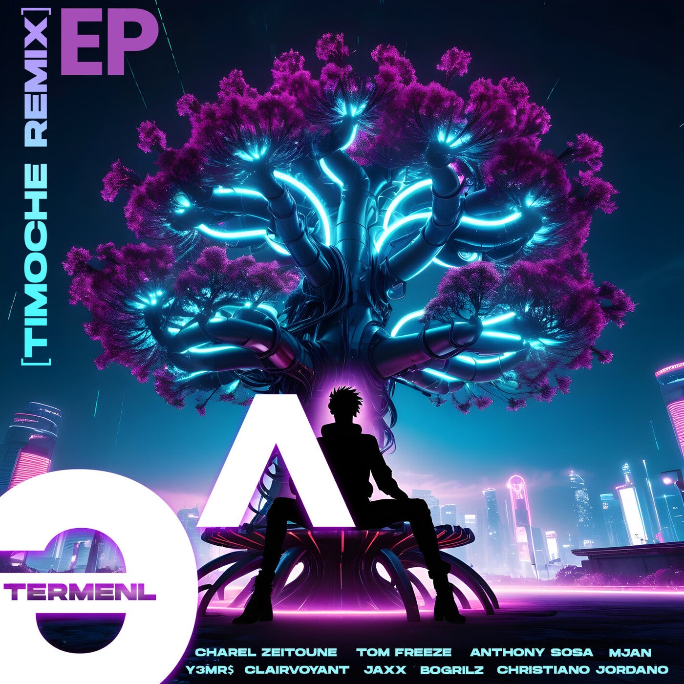 Cover - Tom Freeze, Charel Zeitoune - Timoche (BoGriLZ, Christiano Jordano Remix)