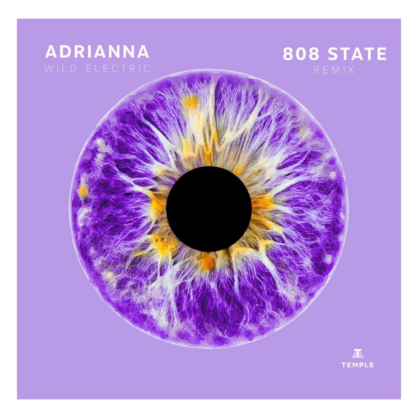 Cover - ADRIANNA - Wild Electric (808 State Remix)