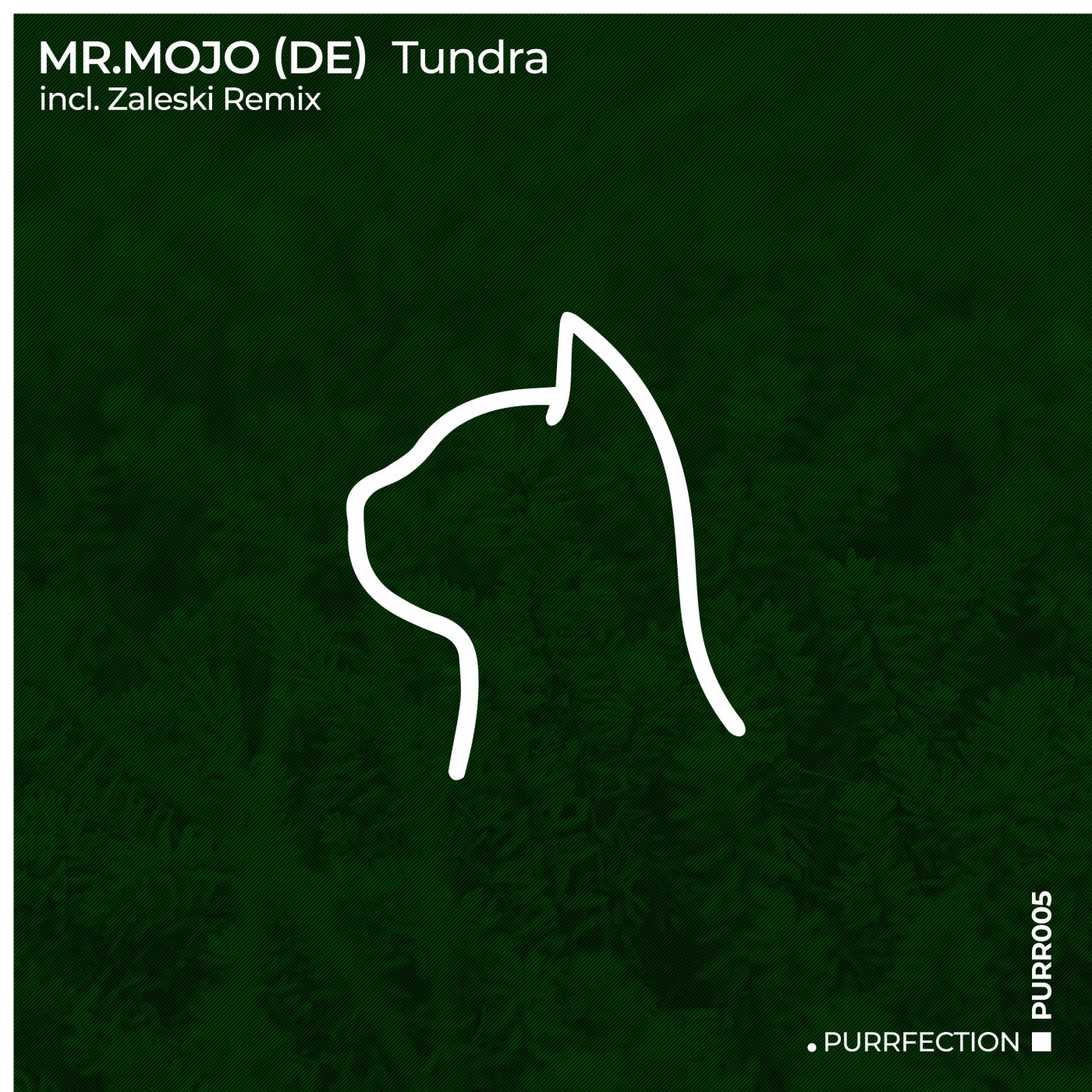 Cover - Mr. Mojo (DE) - Tundra (Original Mix)