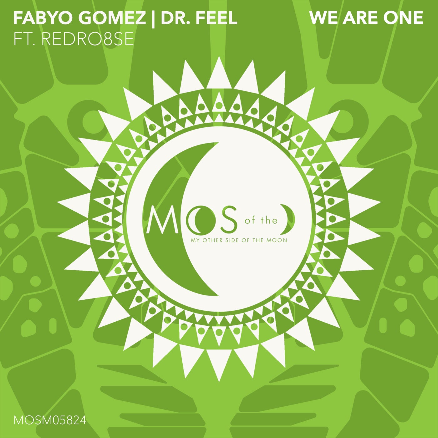 Cover - Dr Feel, RedRo8se, Fabyo Gomez - We Are One (Extended Mix)