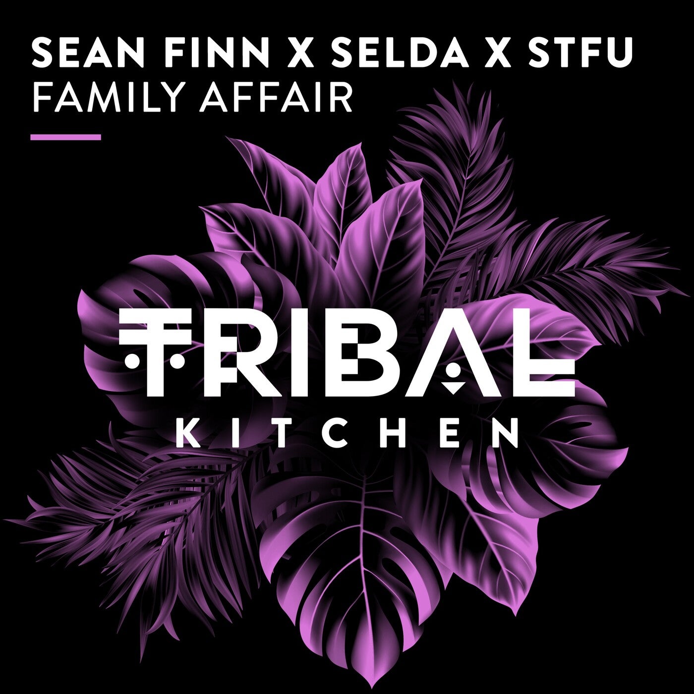 Cover - Sean Finn, STFU, Selda - Family Affair (Extended Mix)